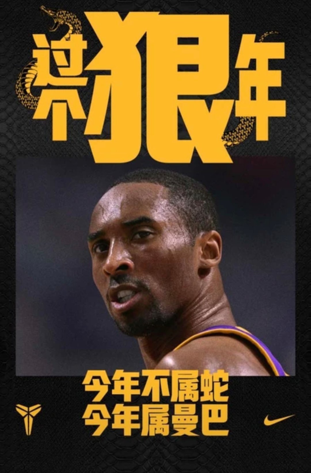 猛虎大胜独行侠,全力拼搏。的简单介绍 猛虎大胜独行侠,全力拼搏。的简单介绍