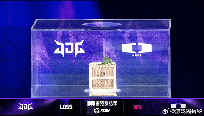 开云体育下载-全球热议！亚洲杯场外八卦引关注的简单介绍