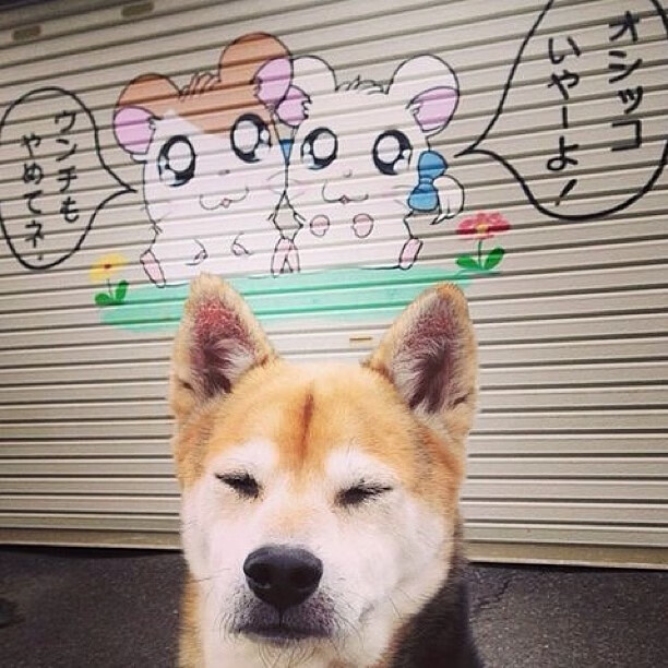 浙江队力克快船，哈利伯顿硬仗之王引领胜利