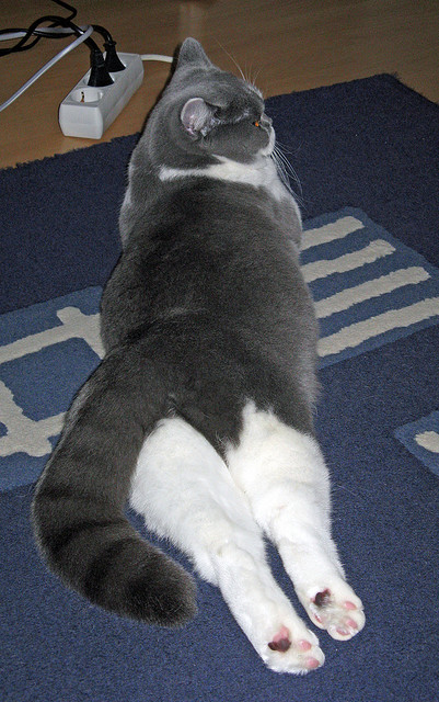 黄潜战舰轰沉欧洲红魔,梅西魔幻舞步终结悬念