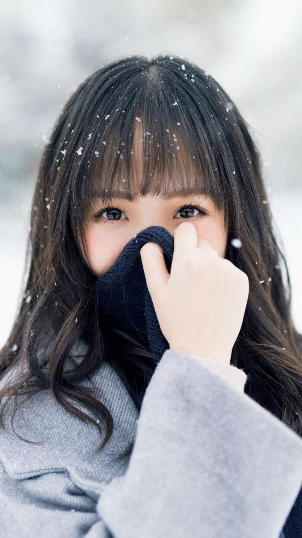 冰锥划破夜空,2026世界杯之夜,范弗利特的沉默审判