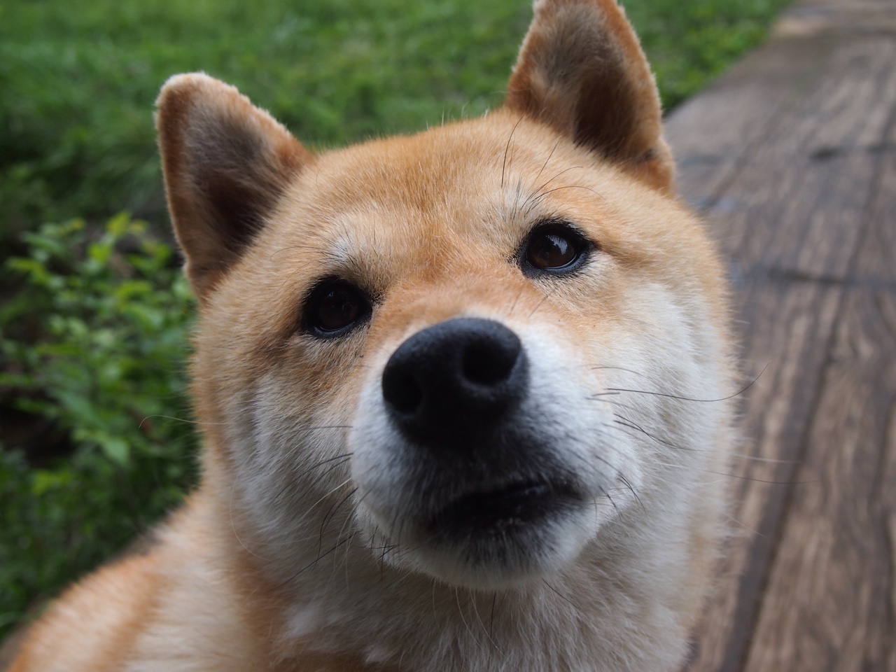 跨越半球的战术对弈，当乌拉圭铁血遇上尤文图斯，凯塞多如何成为攻防转换的绝对核心？