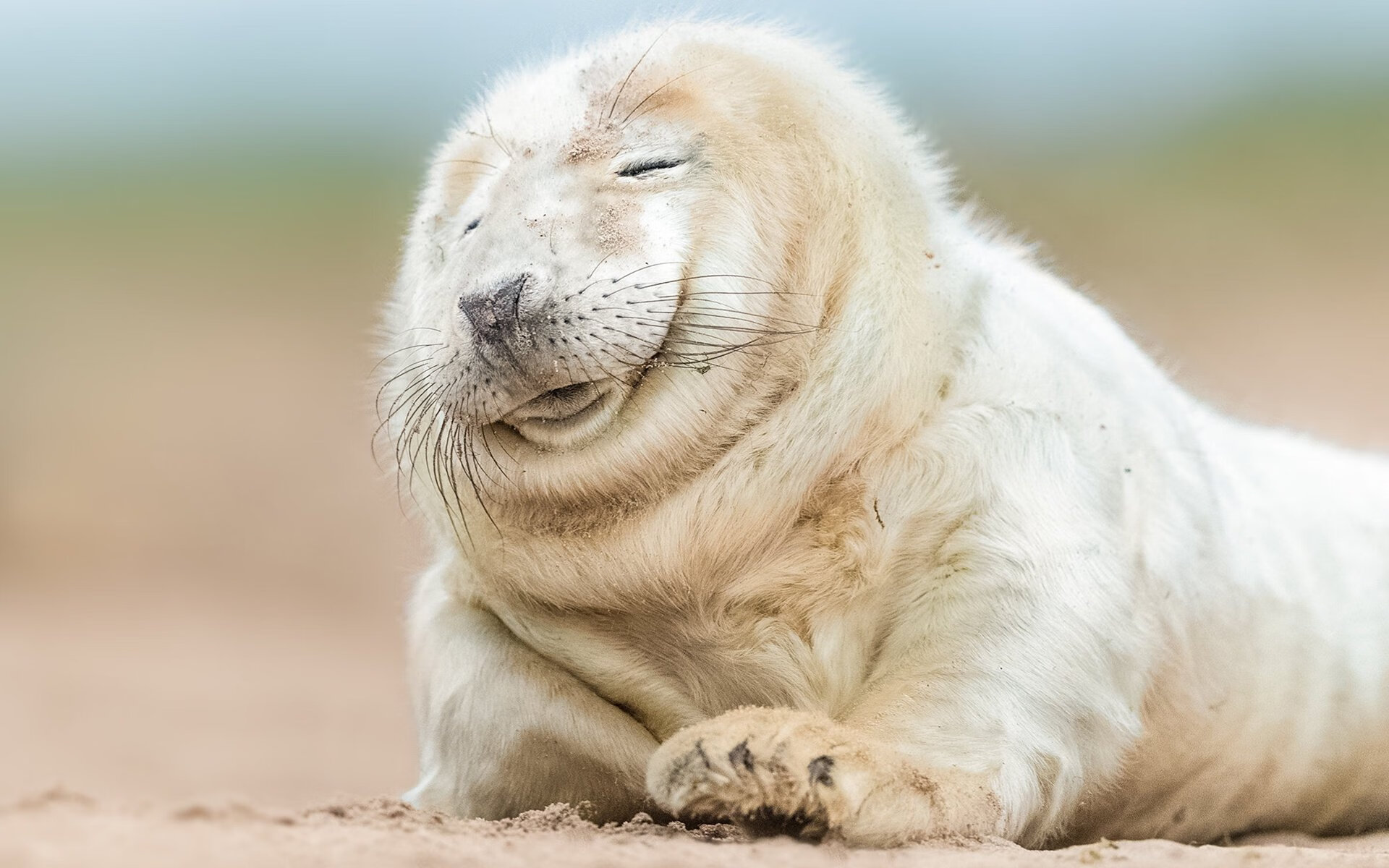 开云体育在线-友谊赛变试金石,劳塔罗用巴拉圭铁阵,淬炼出国家队锋刃