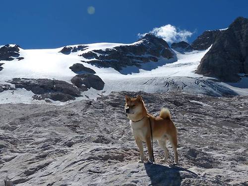 开云体育在线-铁血马竞的亚洲脊梁，富安健洋锁死皇马，改写德比叙事