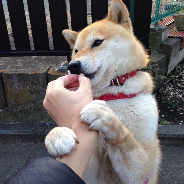 开云体育官网-跨越领域的激情,NBA总决赛焦点战与罗马速胜尼日利亚的体育启示