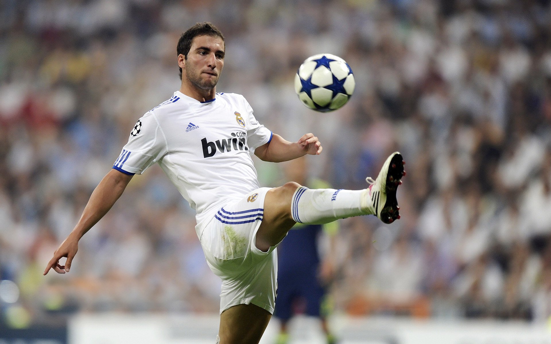 丛林法则入侵梦剧场，小魔兽卢卡库如何用钢铁之躯重新定义中锋