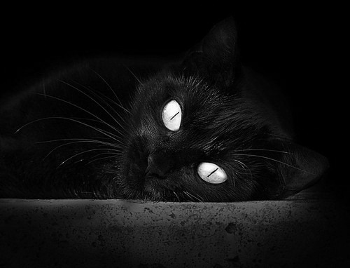 开云体育在线-历史级逆转!约基奇超远三分定乾坤,掘金抢七淘汰快船挺进西决