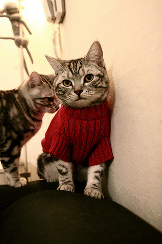 冰与火之歌,库里狂暴三分雨与湖人铁血防守背后的篮球真谛