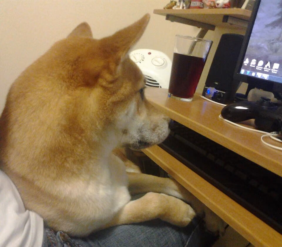 戈贝尔制霸内线难挽狂澜,开拓者全民皆兵客场击溃猛龙